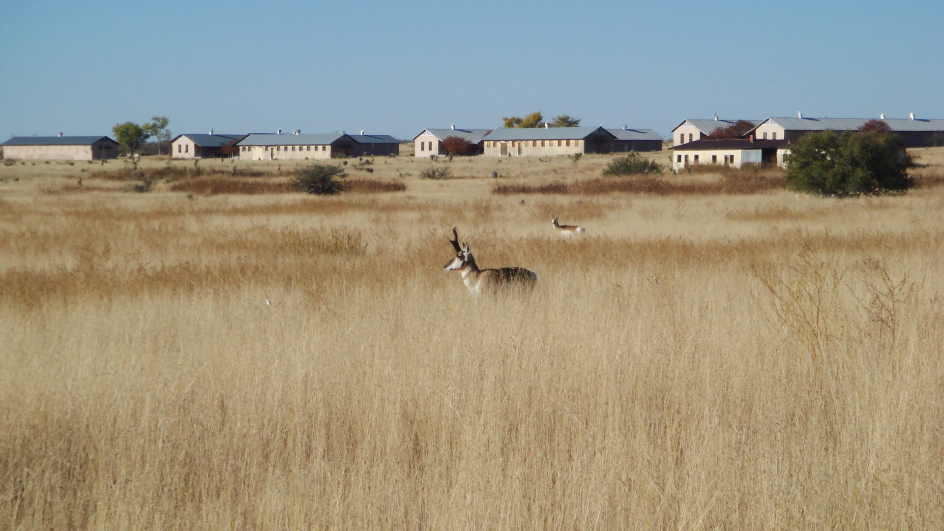 2010, Marfa